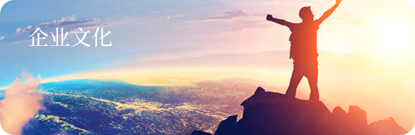 企业文化