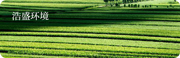 浩盛环境