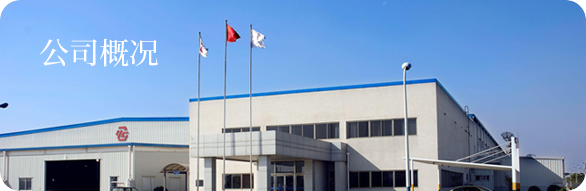 企业概况